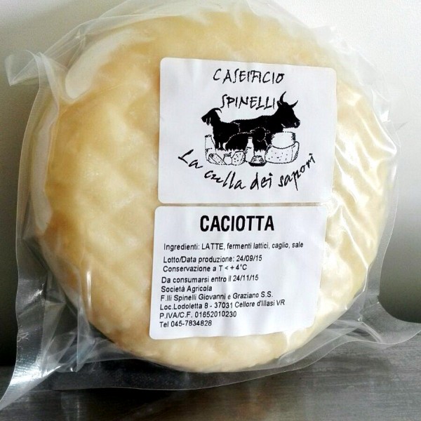 Caciotta