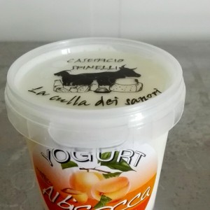 Yogurt Albicocca 150g